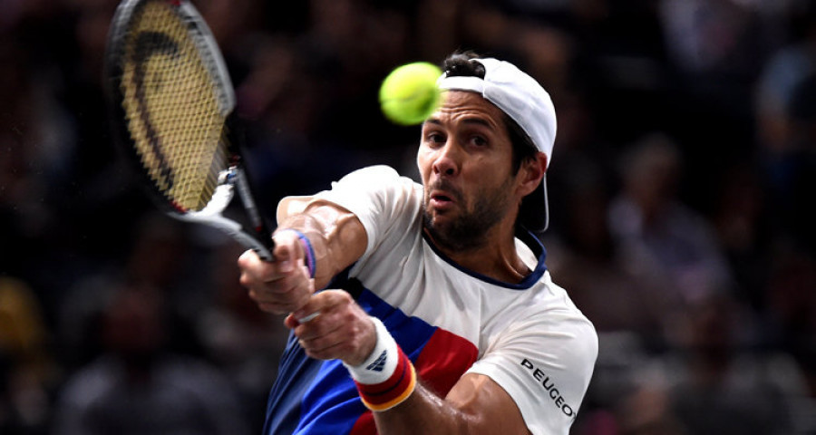 Verdasco empieza el año con buen pie