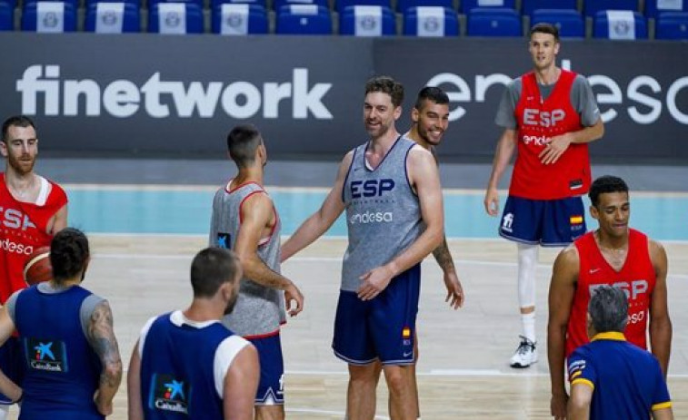 Pau Gasol: 