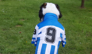 El carné para mascotas: llegan los seguidores más animales del Depor