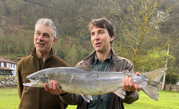 El río Narcea da el 'campanu' de Asturias, un salmón de 6,7 kilos