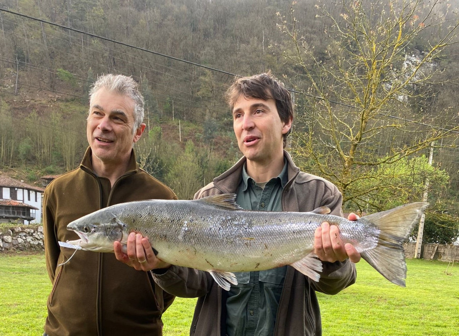 El río Narcea da el 'campanu' de Asturias, un salmón de 6,7 kilos