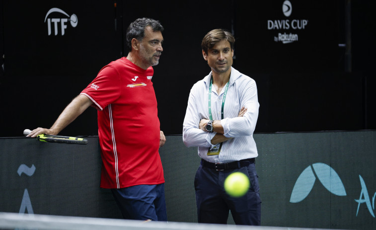David Ferrer: 