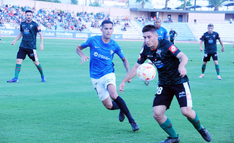 Bicho: 