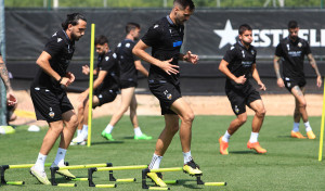 De Miguel: 