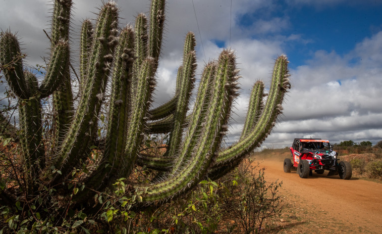 Un día de polvo y motor en el Sertões, el mayor rally de América Latina