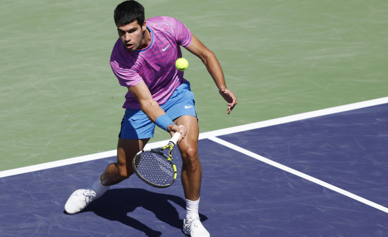 El Alcaraz-Zverev en Indian Wells, suspendido por una invasión de abejas en la pista