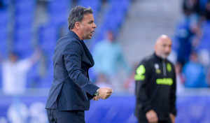 Calleja: 