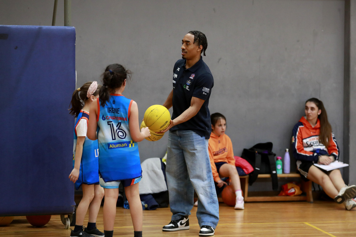 Basquet (17) 21311555