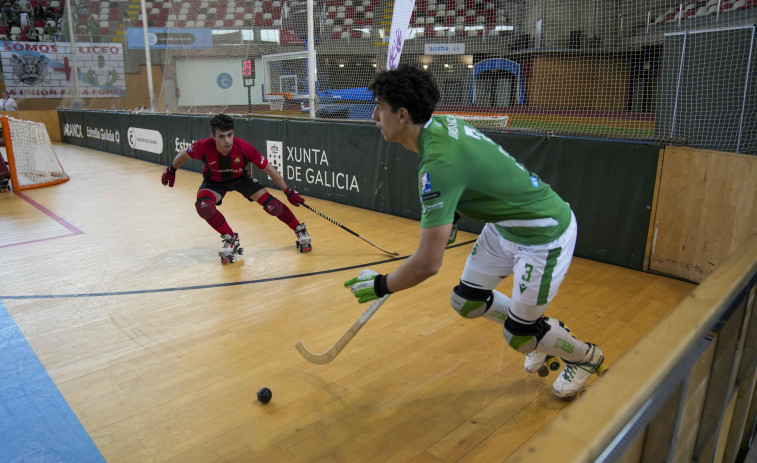 Patines en línea, ¿muerte o solución para el hockey?