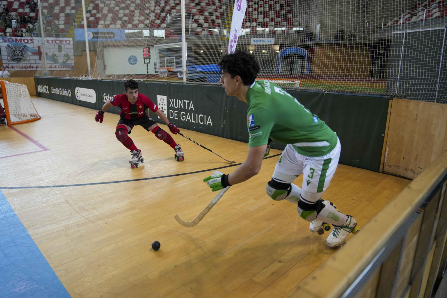 Patines en línea, ¿muerte o solución para el hockey?