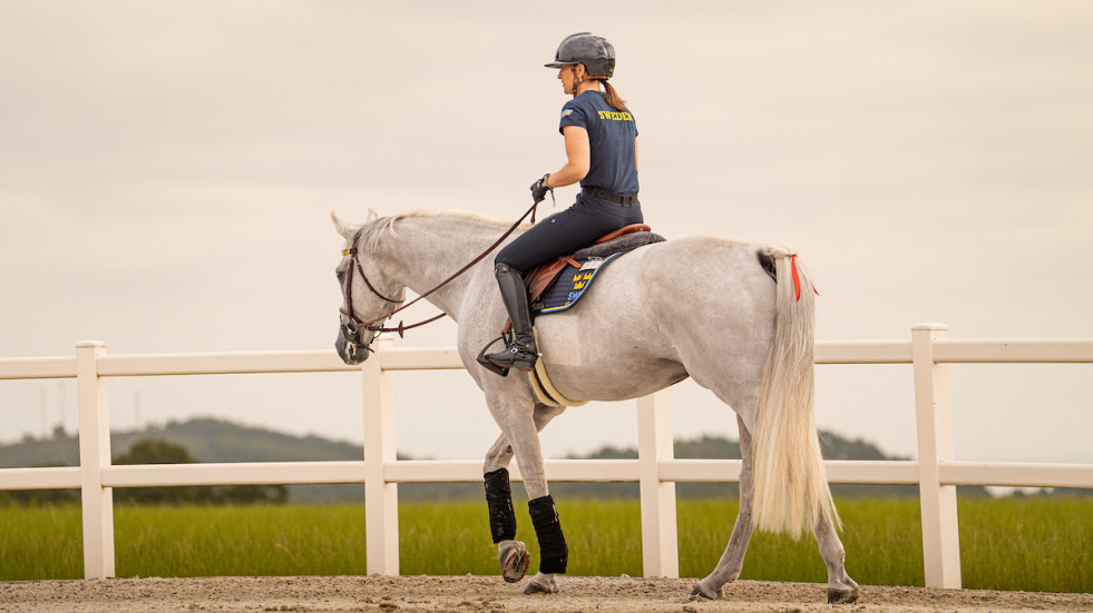 Todo listo en Casas Novas para el comienzo del Campeonato de Europa de Saltos Longines FEI